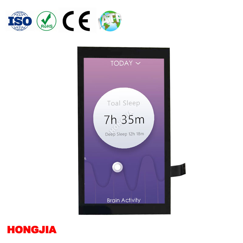 IPS LCD sentuhan 5.5 inci